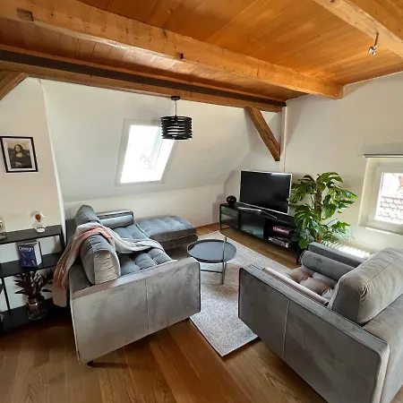 Crown Living Wohlfuehl Loft - Loft Nahe Bodensee, Boxspringbett, Kueche, Zentrumsnah, Ideal Fuer Feriengaeste Und Geschaeftsreisende * Bregenz